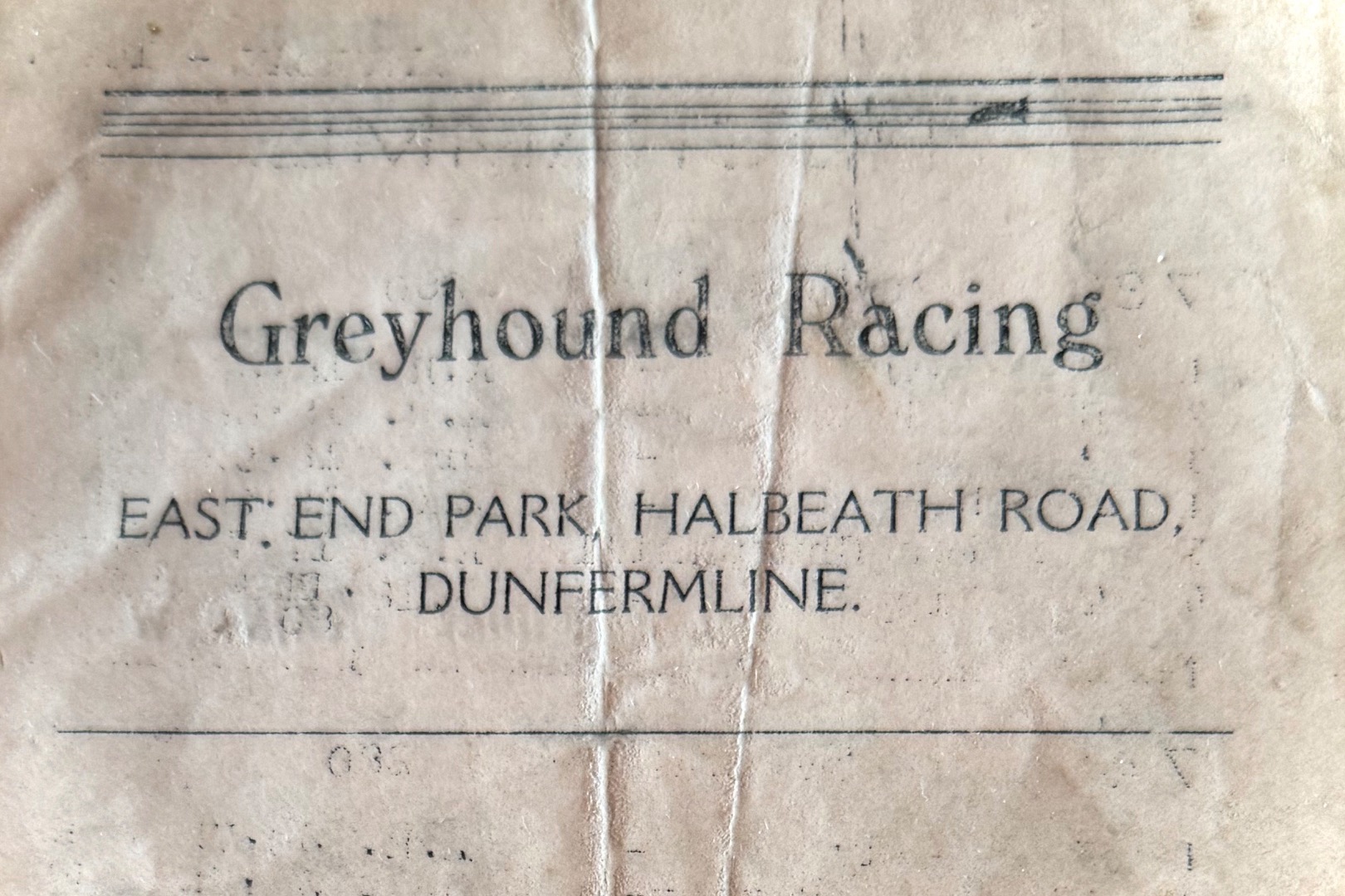 Greyhound Racing at East End Park